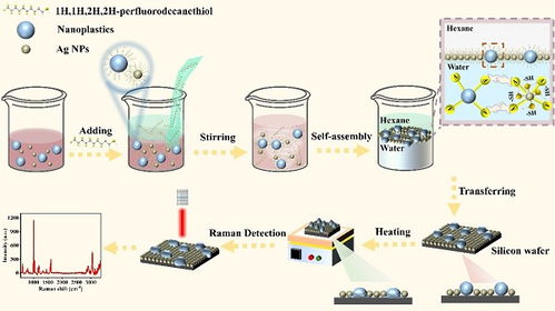 表面增強拉曼散射檢測新策略及其在自然科學研究和試驗發展中的應用前景